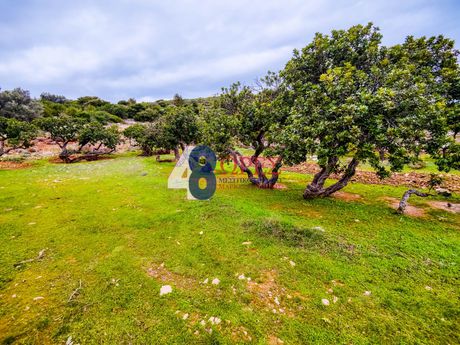 Parcel 15.465sqm for sale-Chios » Mastichochoria