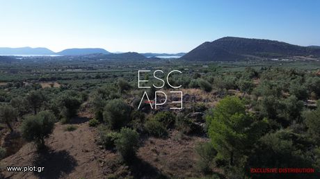 Οικόπεδο 4.116 τ.μ. για πώληση