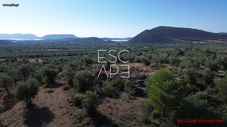 Οικόπεδο 4.116 τ.μ. για πώληση, Αργολίδα, Ερμιόνη