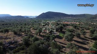 Οικόπεδο 4.116 τ.μ. για πώληση, Αργολίδα, Ερμιόνη-thumb-1