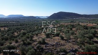 Οικόπεδο 4.116 τ.μ. για πώληση, Αργολίδα, Ερμιόνη-thumb-4