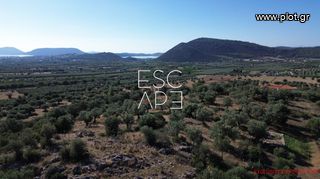 Οικόπεδο 4.116 τ.μ. για πώληση, Αργολίδα, Ερμιόνη-thumb-5