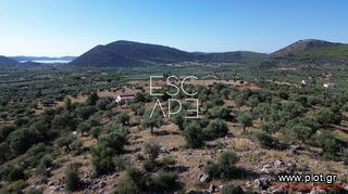 Οικόπεδο 4.116 τ.μ. για πώληση, Αργολίδα, Ερμιόνη-thumb-7