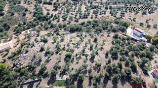 Οικόπεδο 4.116 τ.μ. για πώληση, Αργολίδα, Ερμιόνη-thumb-8