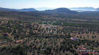 Οικόπεδο 4.116 τ.μ. για πώληση, Αργολίδα, Ερμιόνη-thumb-9