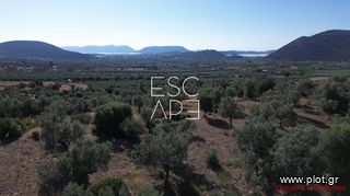 Οικόπεδο 4.116 τ.μ. για πώληση, Αργολίδα, Ερμιόνη-thumb-11