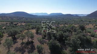 Οικόπεδο 4.116 τ.μ. για πώληση, Αργολίδα, Ερμιόνη-thumb-12