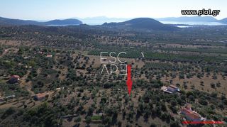 Οικόπεδο 4.116 τ.μ. για πώληση, Αργολίδα, Ερμιόνη-thumb-13