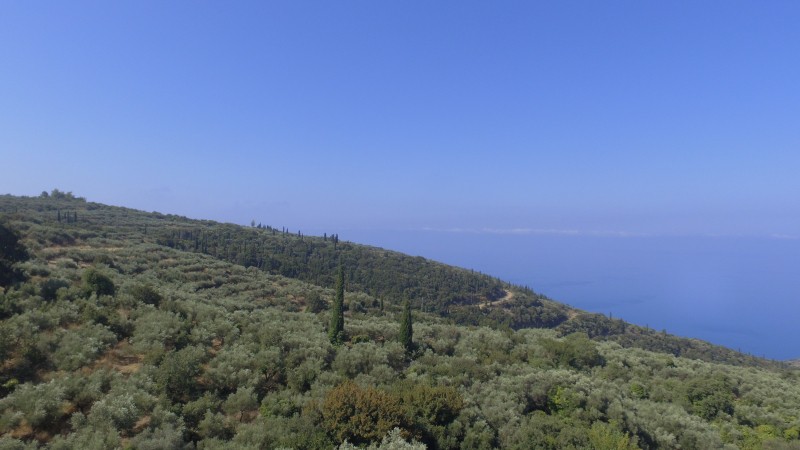 Οικόπεδο 2.594 τ.μ. πρός πώληση, Μεσσηνία, Λεύκτρος