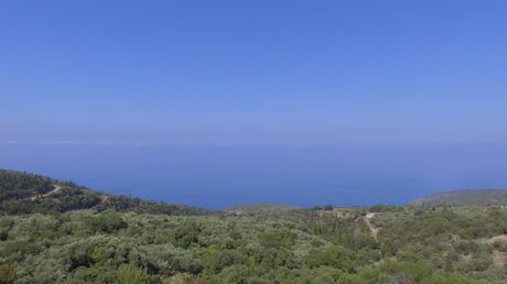 Οικόπεδο 2.594 τ.μ. για πώληση