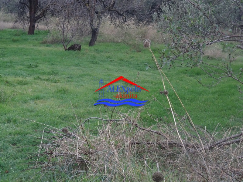 Οικόπεδο 638 τ.μ. πρός πώληση, Εβρος, Αλεξανδρούπολη