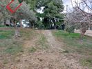 Land plot 1.280sqm for sale-Kalivia Thorikou » Lagonisi