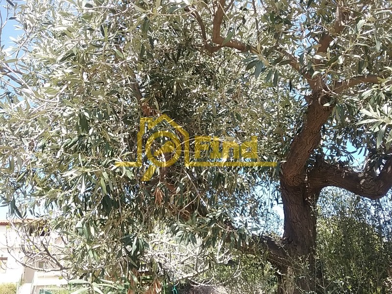 Οικόπεδο 850 τ.μ. προς πώληση, Κέντρο Γλυκών Νερών