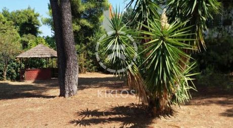 Land plot 615sqm for sale-Drosia