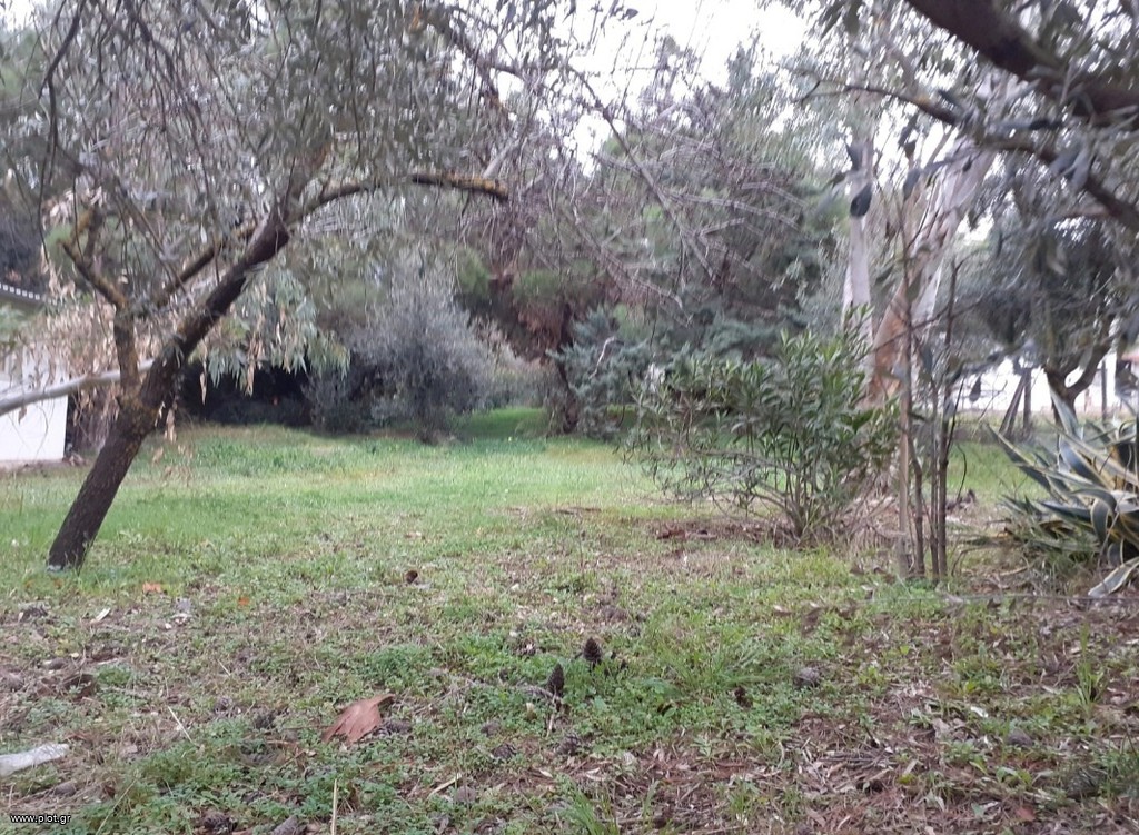 Μονοκατοικία 145 τ.μ. προς ενοικίαση, Κέντρο Άνοιξης
