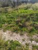 Land plot 402sqm for sale-Messatida » Demenika