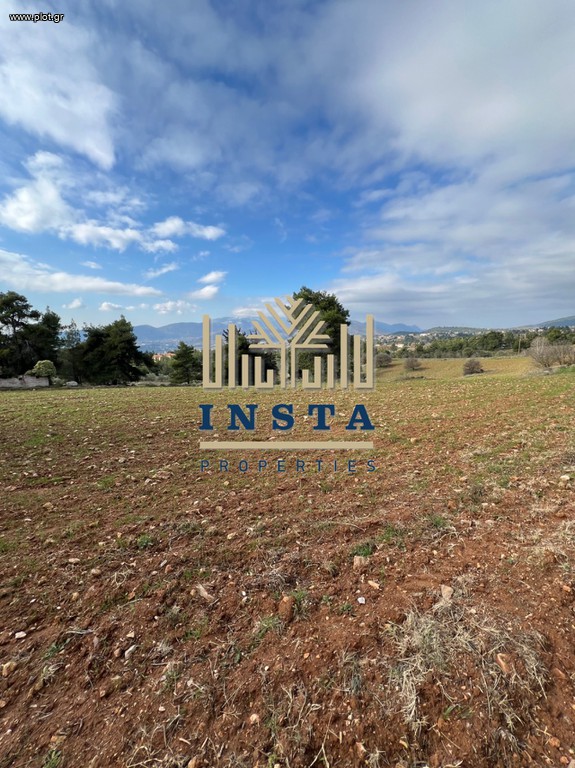 Αγροτεμάχια 15.998 τ.μ. πρός πώληση, Αττική - Υπόλοιπο, Κ. Καπανδριτίου