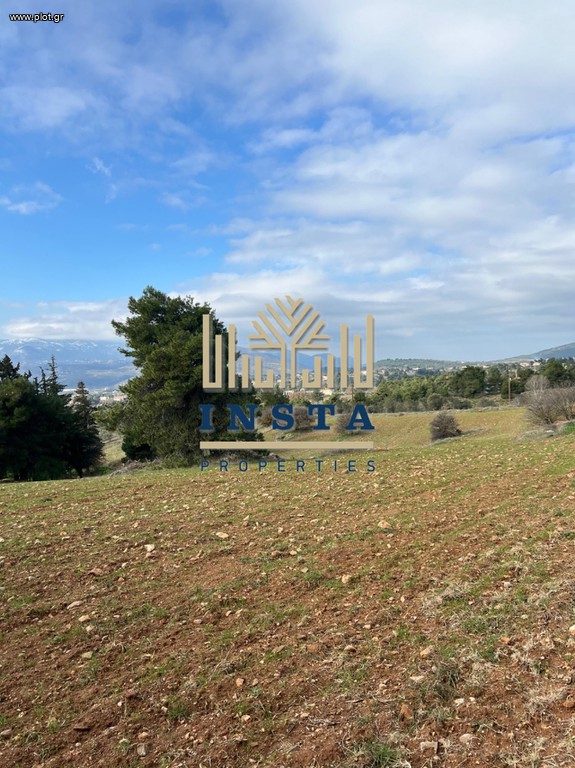 Αγροτεμάχια 15.998 τ.μ. πρός πώληση, Αττική - Υπόλοιπο, Κ. Καπανδριτίου