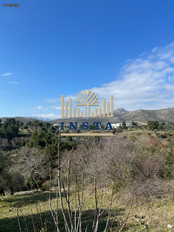 Οικόπεδο 1.000 τ.μ. πρός πώληση, Αττική - Υπόλοιπο, Κ. Καπανδριτίου