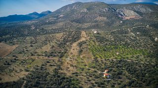 Οικόπεδο 8.117 τ.μ. προς πώληση, Αχλαδίτσα-thumb-8