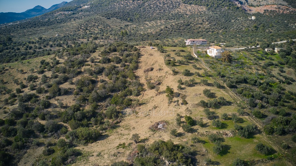 Οικόπεδο 8.117 τ.μ. προς πώληση, Αχλαδίτσα
