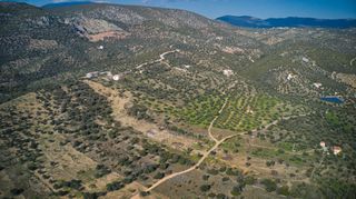 Οικόπεδο 8.117 τ.μ. προς πώληση, Αχλαδίτσα-thumb-11