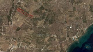 Οικόπεδο 8.117 τ.μ. προς πώληση, Αχλαδίτσα-thumb-10
