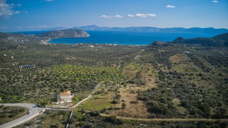 Οικόπεδο 8.117τ.μ. για πώληση-Ερμιόνη » Αχλαδίτσα