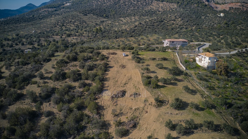 Οικόπεδο 8.117 τ.μ. προς πώληση, Αχλαδίτσα