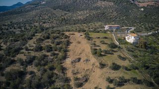 Οικόπεδο 8.117 τ.μ. προς πώληση, Αχλαδίτσα-thumb-4