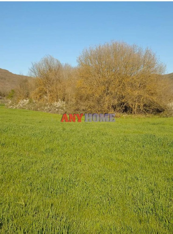 Αγροτεμάχια 1.958 τ.μ. προς πώληση, Άγιος Πρόδρομος