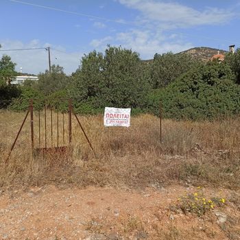Οικόπεδο 431τ.μ. για πώληση-Αρτέμιδα (λούτσα) » Πράσινος λόφος