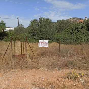 Land plot 431sqm for sale-Artemida (Loutsa) » Prasinos Lofos
