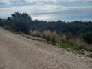 Parcel 40.000sqm for sale-Kefalonia » Eleioi-Pronoi