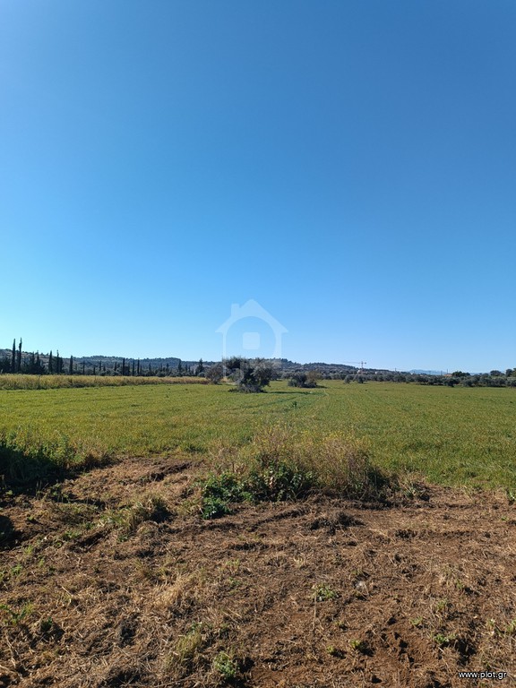 Οικόπεδο 30.000 τ.μ. προς πώληση, Κάμπος Κρανιδίου