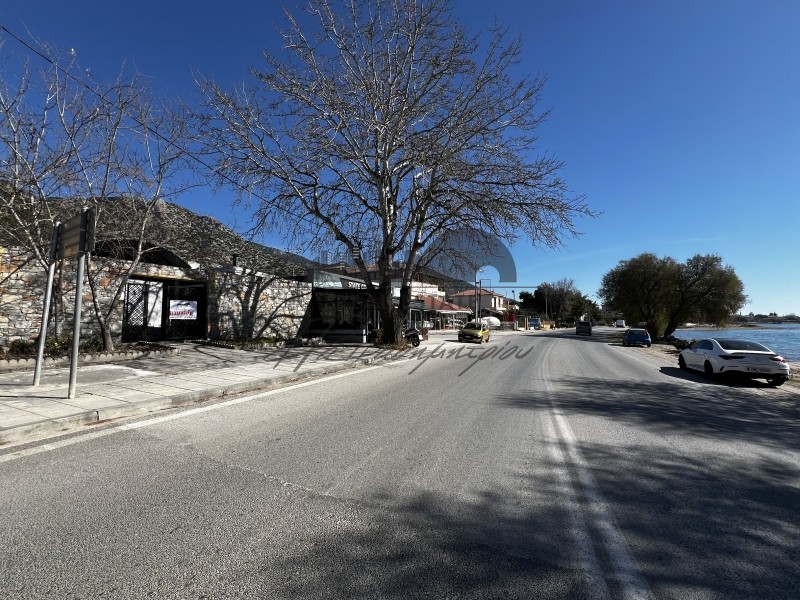 Οικόπεδο 420 τ.μ. πρός πώληση, Μαγνησία, Αγριά