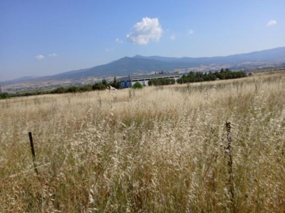 Αγροτεμάχια 10.150 τ.μ. για πώληση, Θεσσαλονίκη - Περιφ/Κοί Δήμοι, Θέρμη