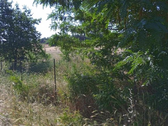 Αγροτεμάχια 5.800 τ.μ. για πώληση, Θεσσαλονίκη - Περιφ/Κοί Δήμοι, Θέρμη