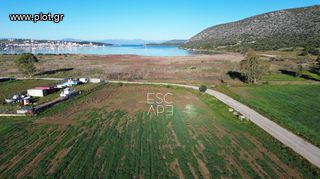 Οικόπεδο 8.010 τ.μ. για πώληση, Αργολίδα, Κρανίδι-thumb-2