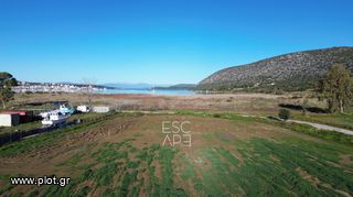 Οικόπεδο 8.010 τ.μ. για πώληση, Αργολίδα, Κρανίδι-thumb-3
