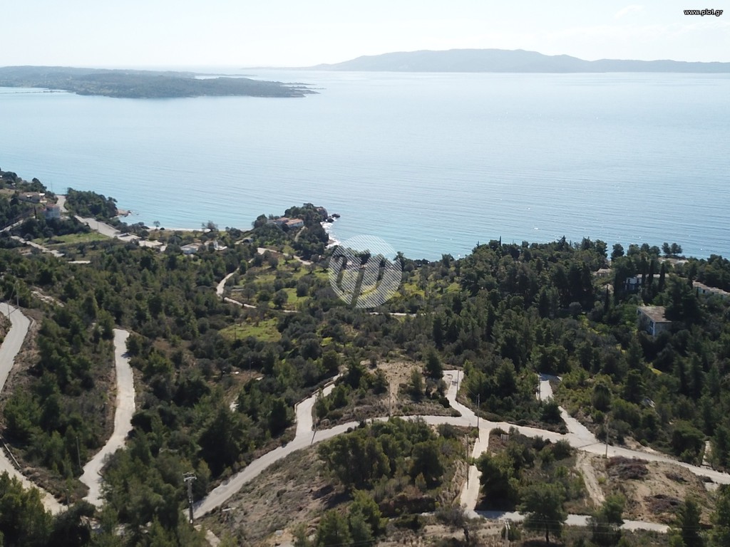 Οικόπεδο 444 τ.μ. προς πώληση, Βερβερούδα