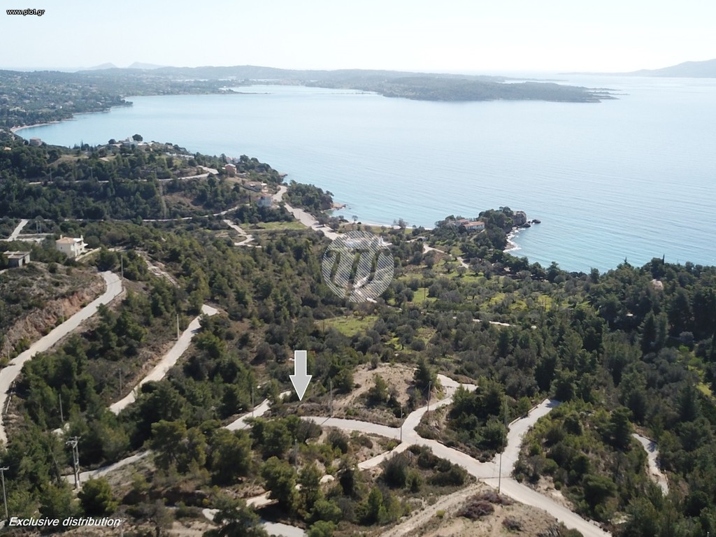 Οικόπεδο 444 τ.μ. προς πώληση, Βερβερούδα