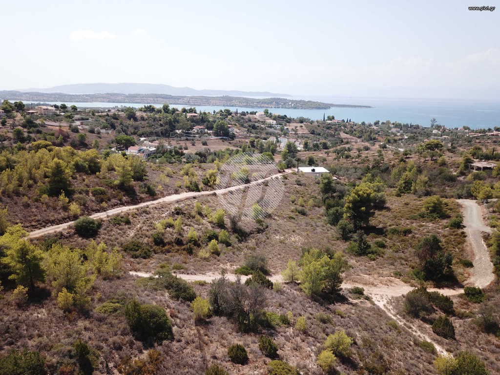 Οικόπεδο 4.631 τ.μ. προς πώληση, Βερβερούδα