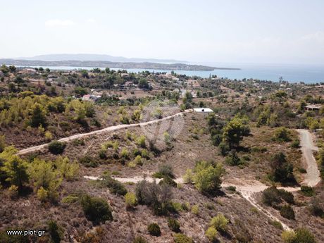Οικόπεδο 4.631τ.μ. για πώληση-Κρανίδι » Βερβερούδα
