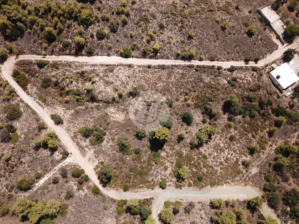 Οικόπεδο 4.631 τ.μ. προς πώληση, Βερβερούδα