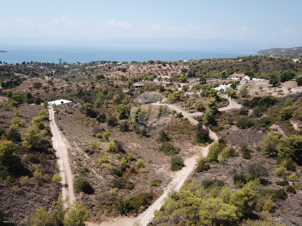 Οικόπεδο 4.631 τ.μ. προς πώληση, Βερβερούδα