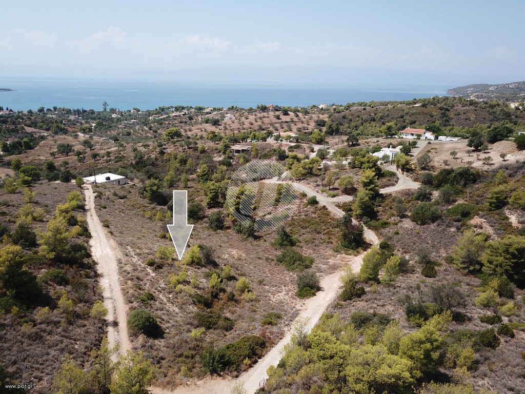 Οικόπεδο 4.631 τ.μ. προς πώληση, Βερβερούδα