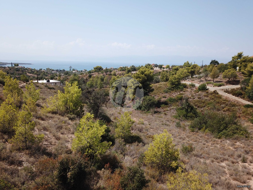 Οικόπεδο 4.631 τ.μ. προς πώληση, Βερβερούδα