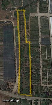 Αγροτεμάχια 3.000 τ.μ. για πώληση