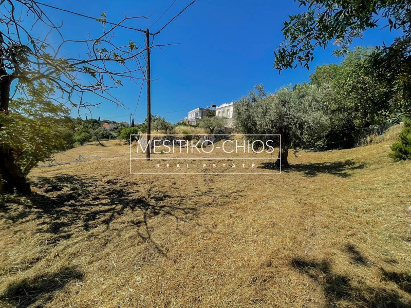 Οικόπεδο 2.728,88 τ.μ. προς πώληση, Ομηρούπολη